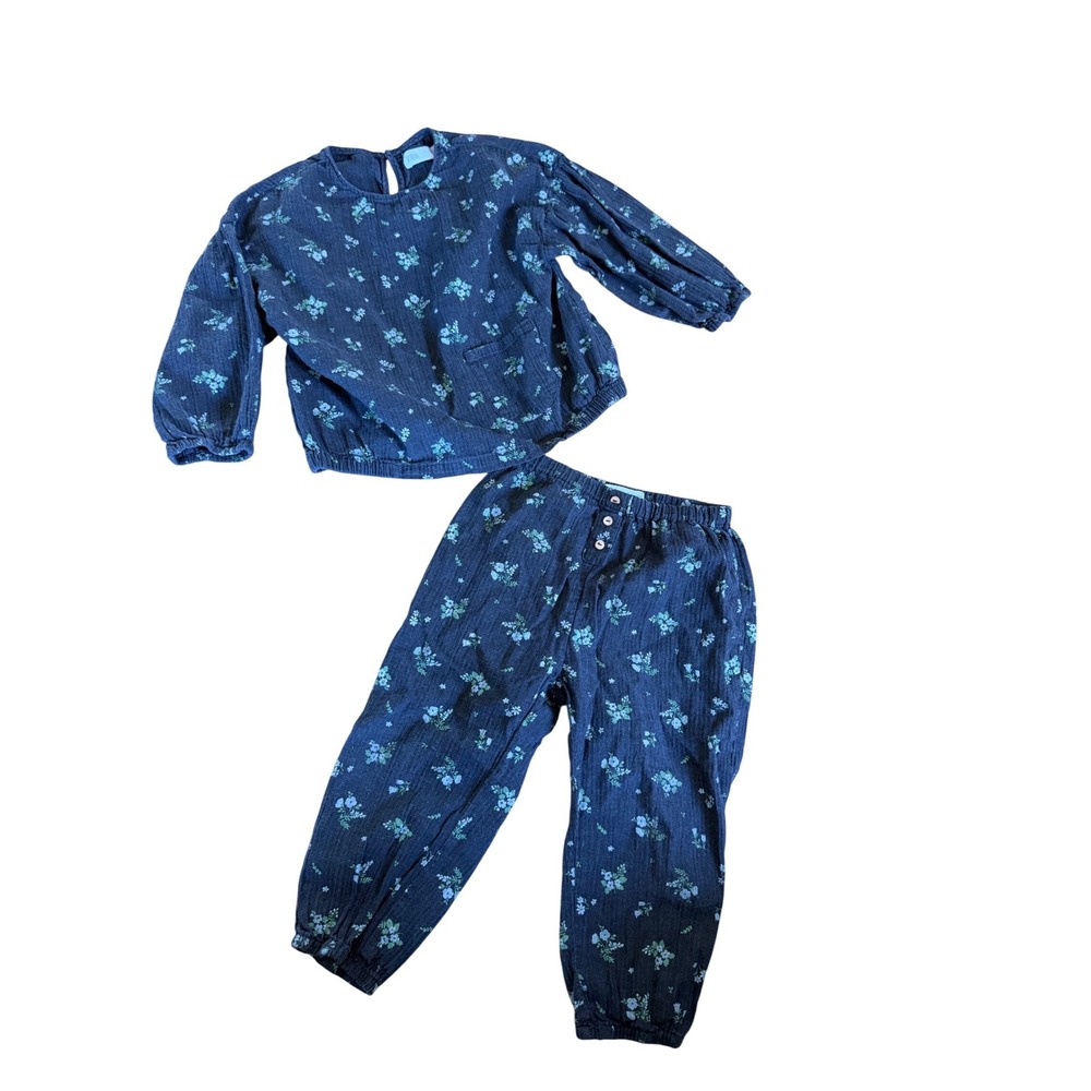 Zara grey floral print two piece toddler matching outfit long sleeve &‎ pants